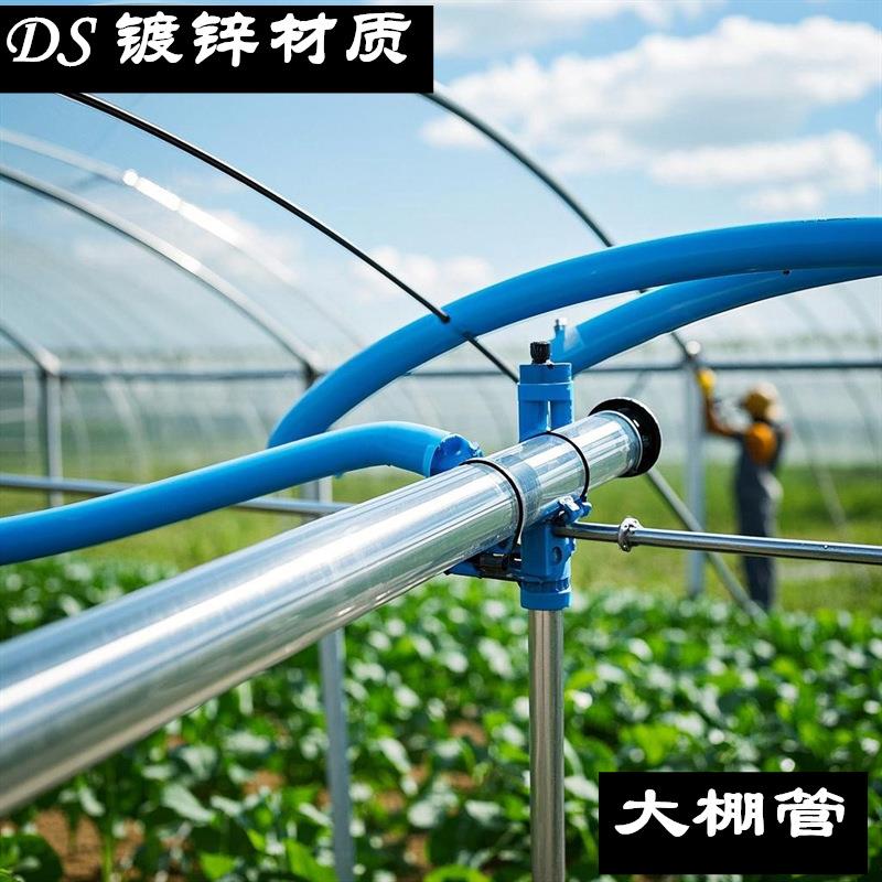 彩锌SC镀锌钢管现货 D42 32 26.9蔬菜大棚管现货配件 厂家直销
