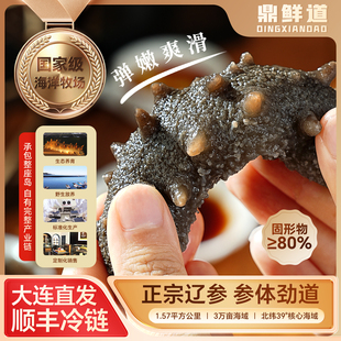 大连即食海参正品海参旗舰店独立包装冷冻水产海参高端礼盒顺丰发