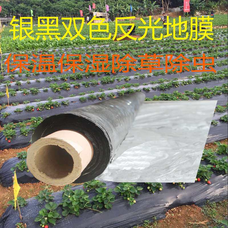 双白地膜农用黑白色地膜保温保湿除草专用薄膜果园蔬菜大棚用地膜
