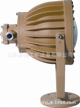 DGS60/127B矿用隔爆投光灯 防爆射灯 LED防爆投光灯
