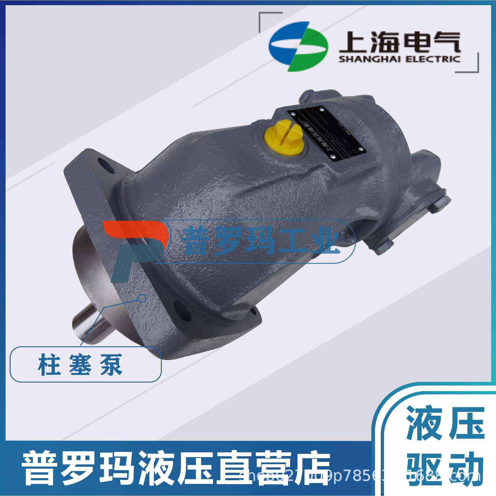 上海电气斜轴式弯脖泵柱塞泵/液压泵马达A2F45R6.1B5/56/63