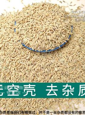 稻谷喂鸡黄谷子5斤谷子带壳水稻100斤谷子鸟粮鸟食50斤稻子喂鸡鸭