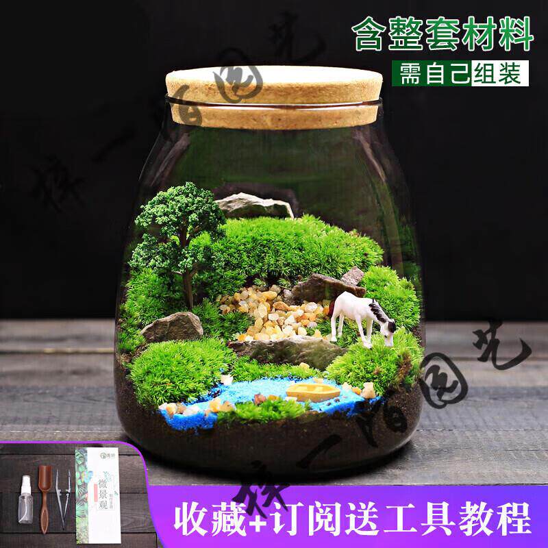 大号水滴苔藓植物盆栽微景观生态瓶 室内桌面趣味微型创意DIY绿植