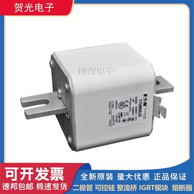 熔断器170M8630/8631/8632/8633/8634/8635/8636/8637/8638/8639