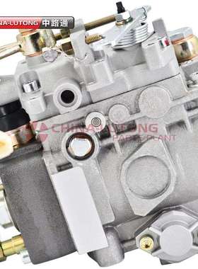 柴油机电控ve泵VE6/10F1900RND264 196000-26419