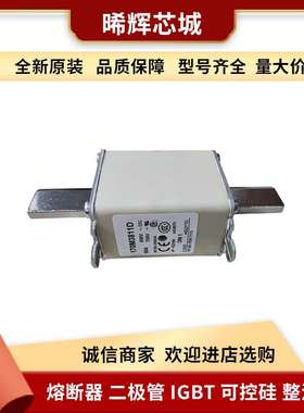 170M3811D 170M3811 巴斯曼低压快速熔断器库存充足 型号齐全现货