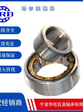 HRB 新型号 RN307 M 摆线针减速 502307H哈尔滨轴承偏心套圆柱滚