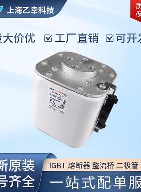 巴斯曼熔断器 170M7605 170M7608 170M7622 170M7636 170M7639