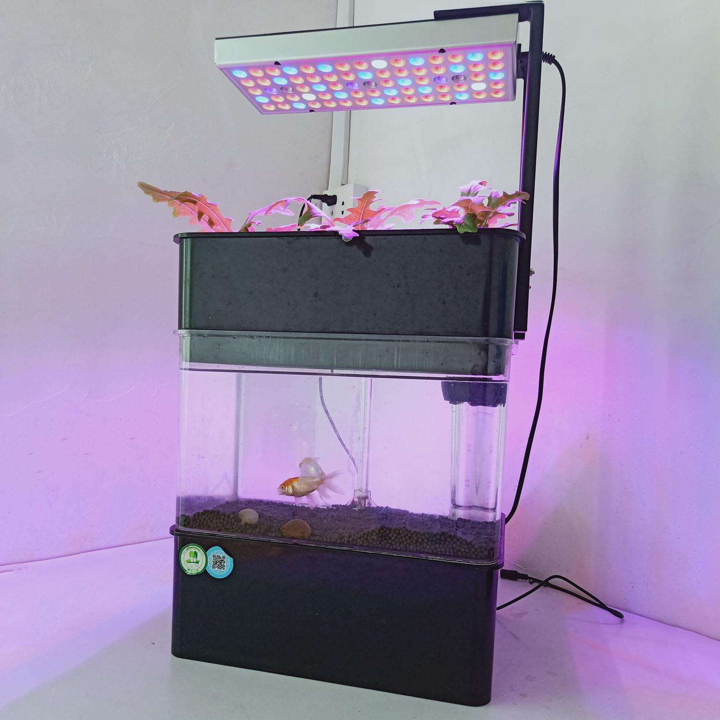 农业家庭养鱼种菜柜鱼缸水培种植箱鱼菜共生蔬菜种植机无土栽培箱