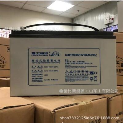 LEOCH理士蓄电池6-CTF-100深循环12V100AH船舶通信、照明用