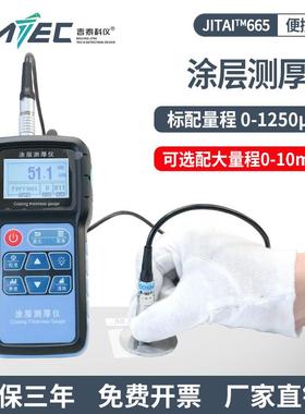 吉泰 JITAI665涂层测厚仪 配铁铝双探头（塑料壳0-1250um）