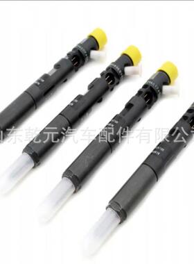 燃油共轨喷油嘴 28559935 D5H00-1112100A-011 喷油器总成