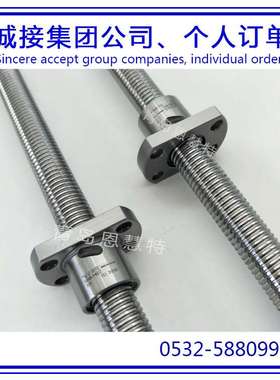 THK滚珠丝杠BNK1004-2.5RRGO+230LC5Y BNK1004-2.5RRG2+230LC7Y07