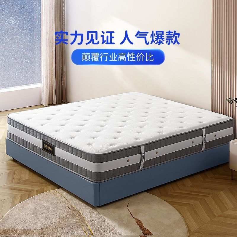 弹簧乳胶床垫护脊软硬两用1.8m席梦思代棕垫1.5m硬垫子d026