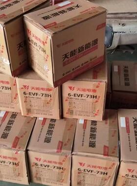 6-EVF-73三轮车电瓶 48V73AH天能蓄电池 60V73A四轮车 洗地机电池