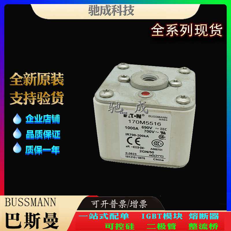 巴斯曼170M5588 170M5589 170M5590 加工制作 零售 快熔保险丝