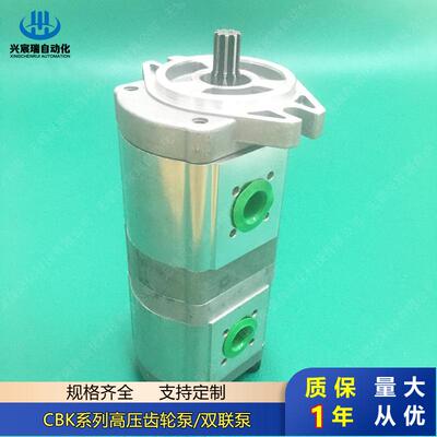 双联齿轮泵CBK1016/12 CBK1016/10 CBK1016/08 CBK1016/06厂家