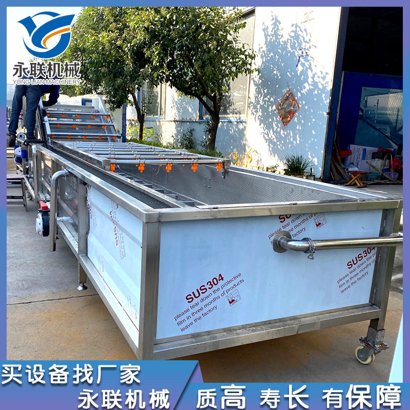 全自动叶菜喷淋式清洗机 桑葚水浴式清洗设备 不锈钢果蔬清洗机