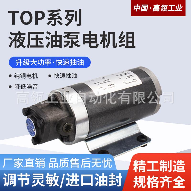 微型液压齿轮泵小型液压电机油泵dc24v抽油泵泵头带阀12v厂家直销