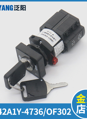 电梯电源锁扶梯钥匙开关LnW42A1Y-4736OF302 DAA177CD1适用奥的斯