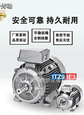 供应挪威LONNE电机1TZ9系列IE3电动机马达