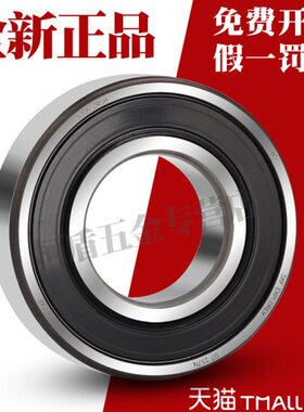 进S口K轴F承6300 6301 6302 6303 6304 6305 6306Z 6307-2Z 2RS1