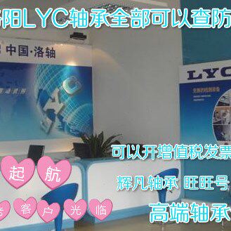 洛轴 洛阳LYC轴承 6218E 6219E 6220E 6221E中国洛轴