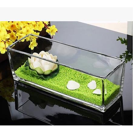 透明水培玻璃花盆花瓶乌龟缸长方形缸S缸植物花器绿萝水仙包邮