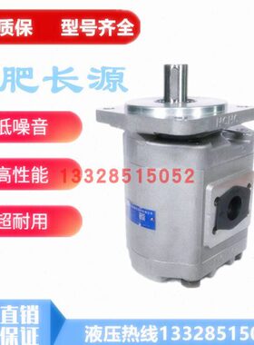 合肥长源齿轮泵CBGZ2100/2080/2063/2050/2040/2032-BLP/BLH/BLXL