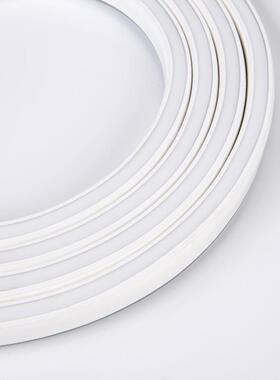 LE性2D灯米条高压20V柔霓虹灯带套装5套装