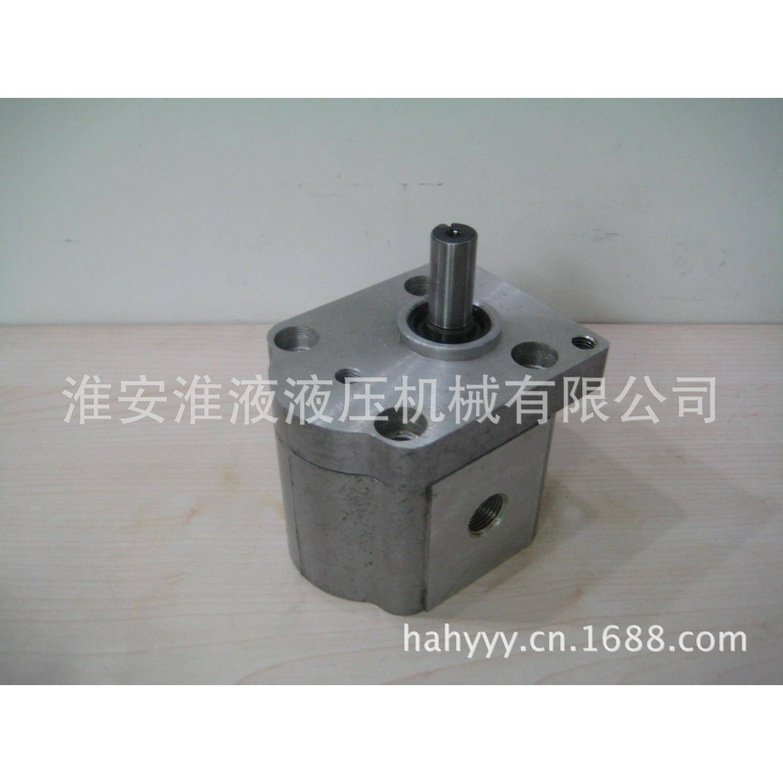 CBS-E34/03061/308/30/14CBS-E316/316/3203/325-CLP双向齿轮泵