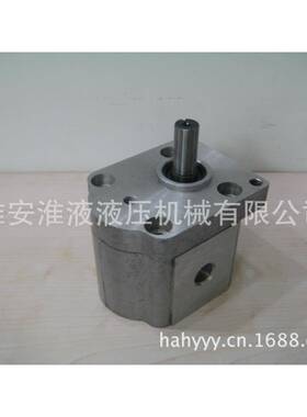 CBS-E34/03061/308/30/14CBS-E316/316/3203/325-CLP双向齿轮泵