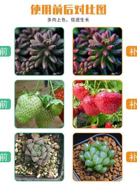 大照明LD植物灯E室内量子AUC板物生长灯棚温室植多肉补光灯家用