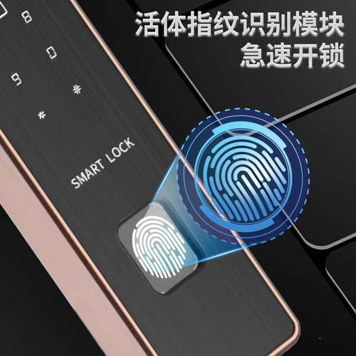 VY03能户外庭院门双面识别密码锁家用防纹水别墅门全自动智电指子