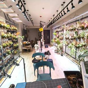 灯?led全光植物补BHG谱光热灯室内家用绿植盆栽花卉植生长鱼缸爆