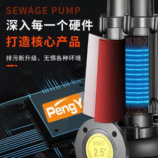 家0WQ潜水泵38厂0v扬程30米抽水泵农用灌溉浇温菜地5岭无品牌/水