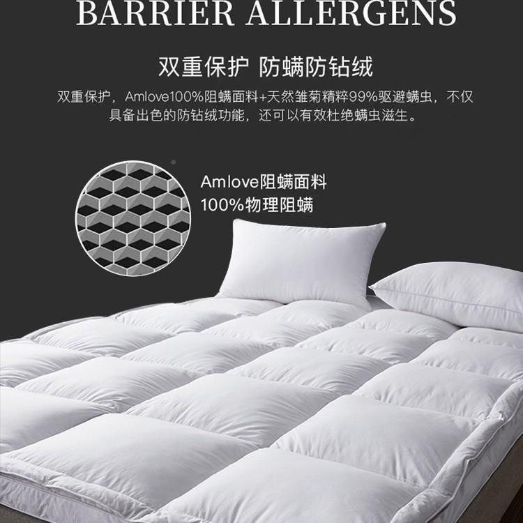 双层店加羽绒床垫酒95白鹅绒软家用厚床褥宿0570839垫舍垫被