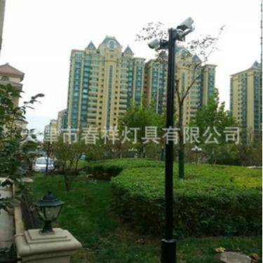 户外道路3.5米双挑臂180度监控杆厂家直销多种规格