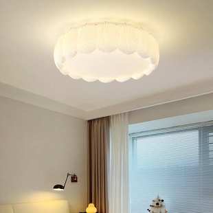 奶油风全光谱2025新款 房间羽毛吊灯网红圆形中山灯具卧室灯吸顶灯