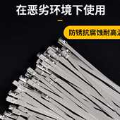金属绑捆扎带 200mm扎丝钢扎带打包带自锁式 304不锈钢扎带300 4.6