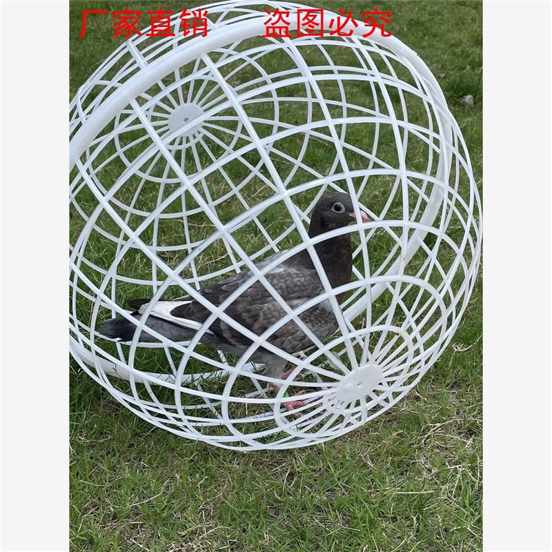 走地鸡笼子可滚动塑料圆形走动觅食鸡笼球形兔笼儿童养小动物圆形