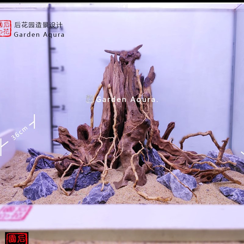 生命之树 沉木造景定制  沉木 草缸 造景沉木 草缸 后花园水族