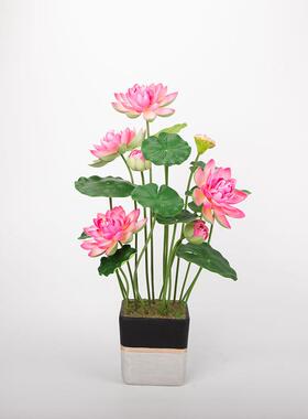 仿真装FEN-多头饰VA荷花莲藕盆栽假绿植塑料荷花荷叶摄E影睡莲婚