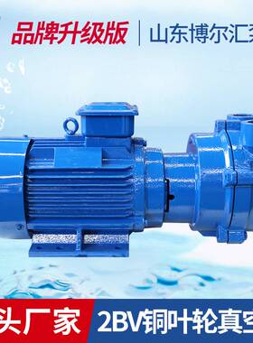 2BV2071铜叶轮真空泵2BV水环真空泵定型水箱挤出机钻机反循环钻机