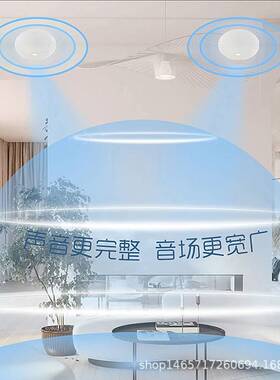 向往HS800嵌入式喇叭音响音箱调频双声道立体声高音质全频