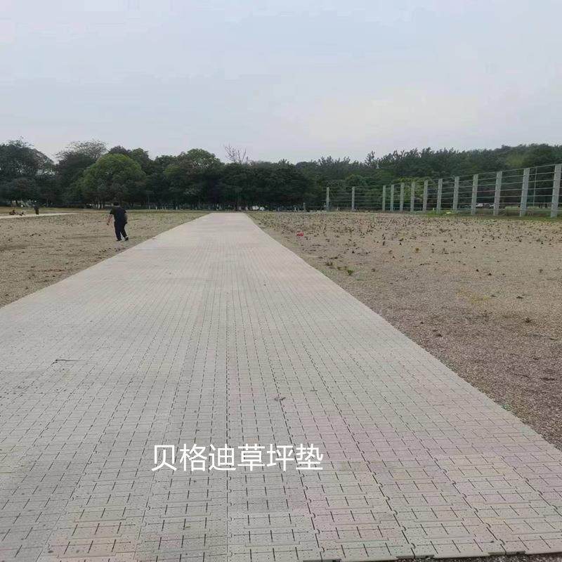 压草BZA板唱会演草坪保护厂板草坪抗压草坪盖板护草板护草垫家板,家装主材,PVC地板,淘宝优惠券,粉丝福利购,淘宝优惠卷