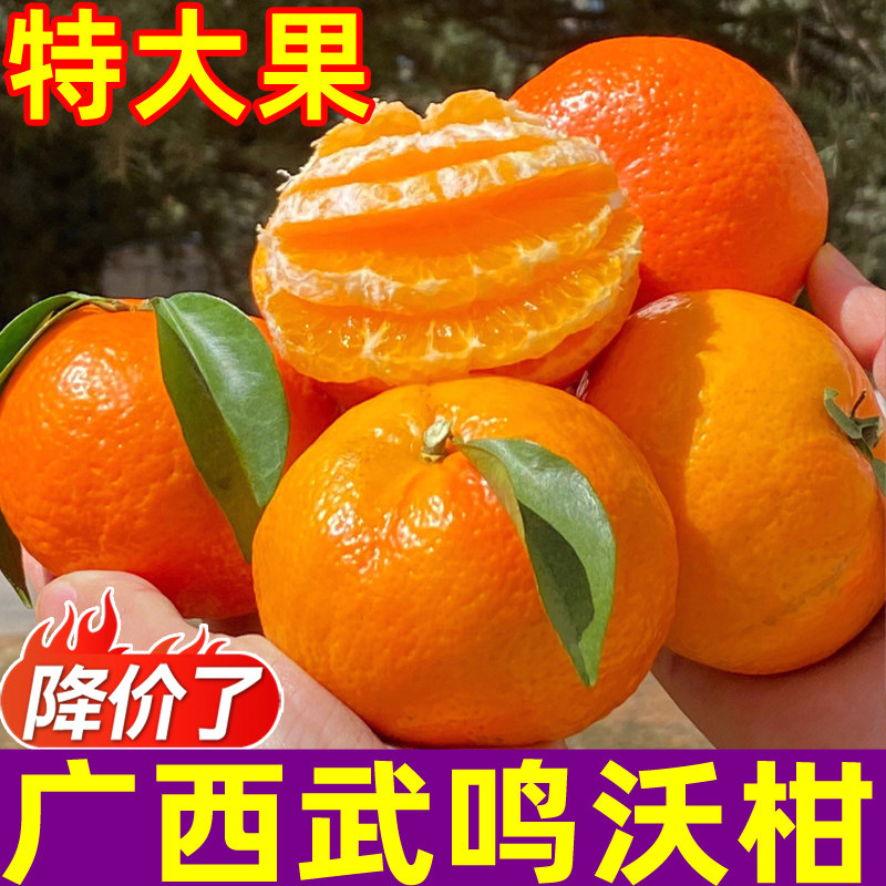 正宗广西沃柑新鲜桔子大果水果10斤橘子武当季皇帝蜜柑鸣橘砂糖桔