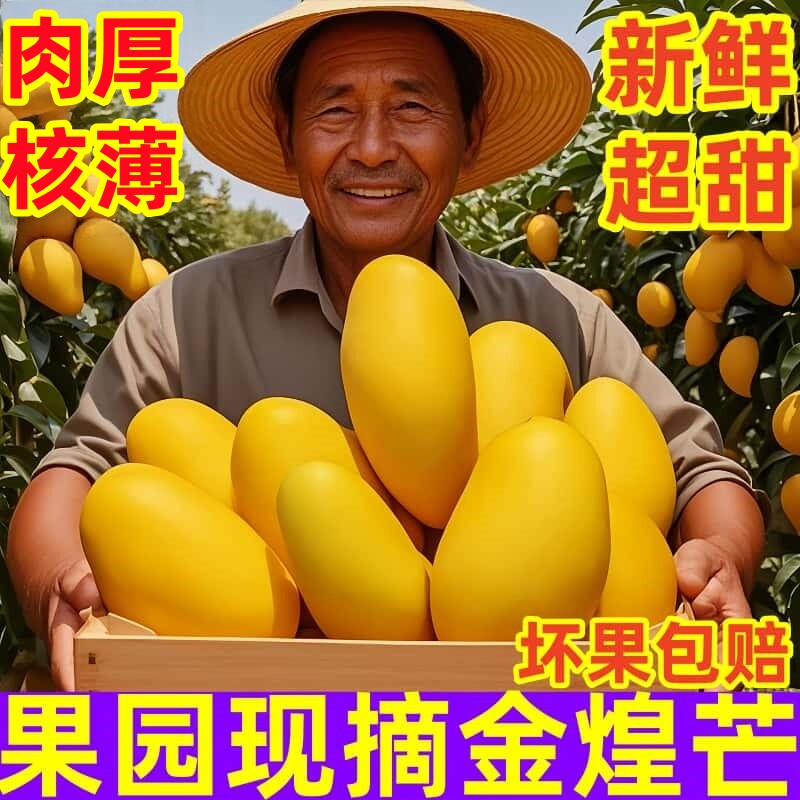 广西特大金煌芒果10斤新鲜热带水果应当季黄皮芒水仙甜心芒特产