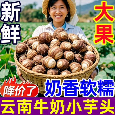 新鲜云南牛奶小芋头奶香软糯香甜
