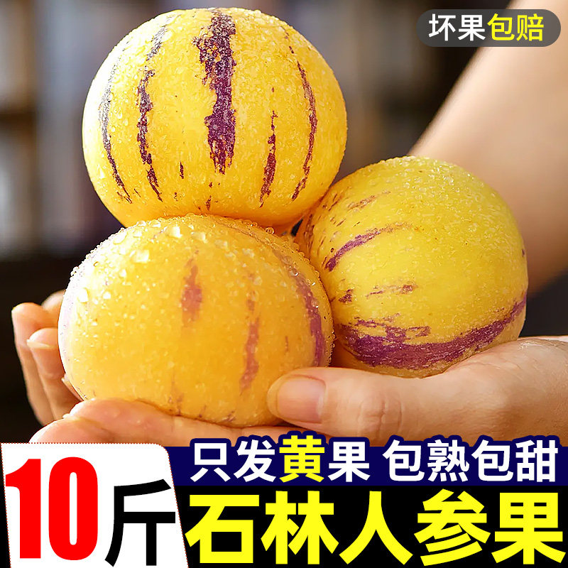 正宗云南石林人参果10斤新鲜包邮